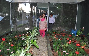 The First lady of the state Smti. Neelam Mishra visit Orchid Garden at Raj Bhavan on 3rd October�2017. 